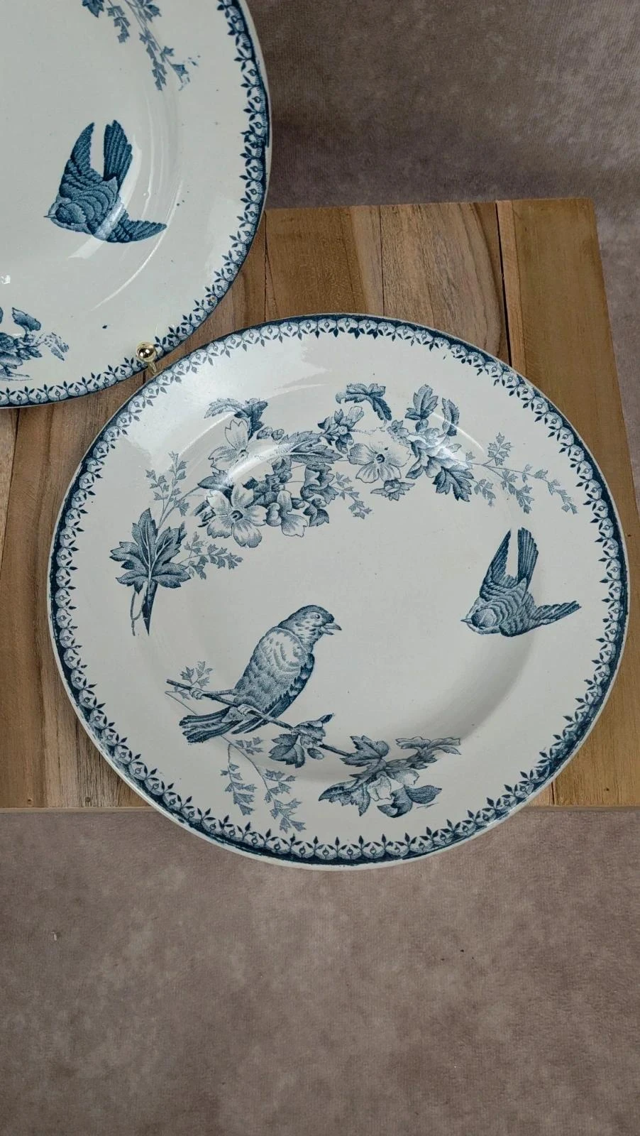 Lot van 2 diepe borden Longwy – model Mésange – photo 3